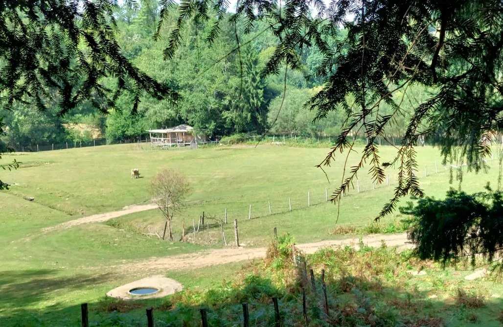 alojamientos AlohaCamp Cabane sur Pilotis 5