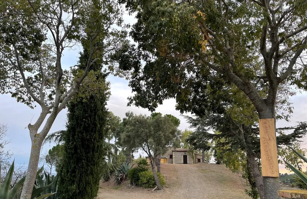 Alojamiento en Almoster Sol Senyor 3