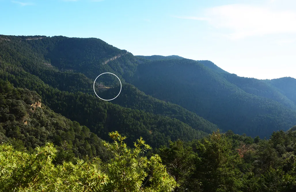 Alojamiento Pirineo aragones La Pegatera 3