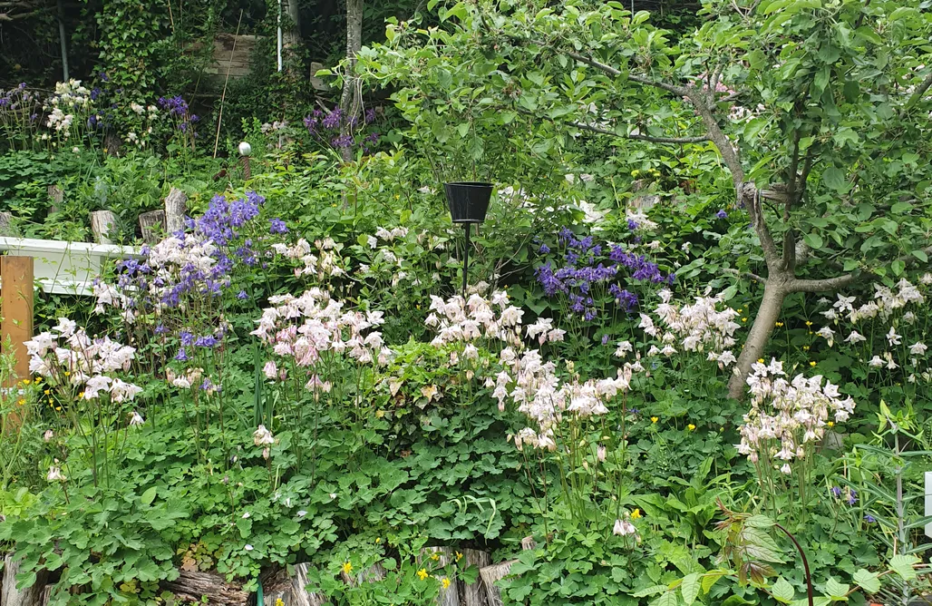 AlohaCamp Bromberg 4