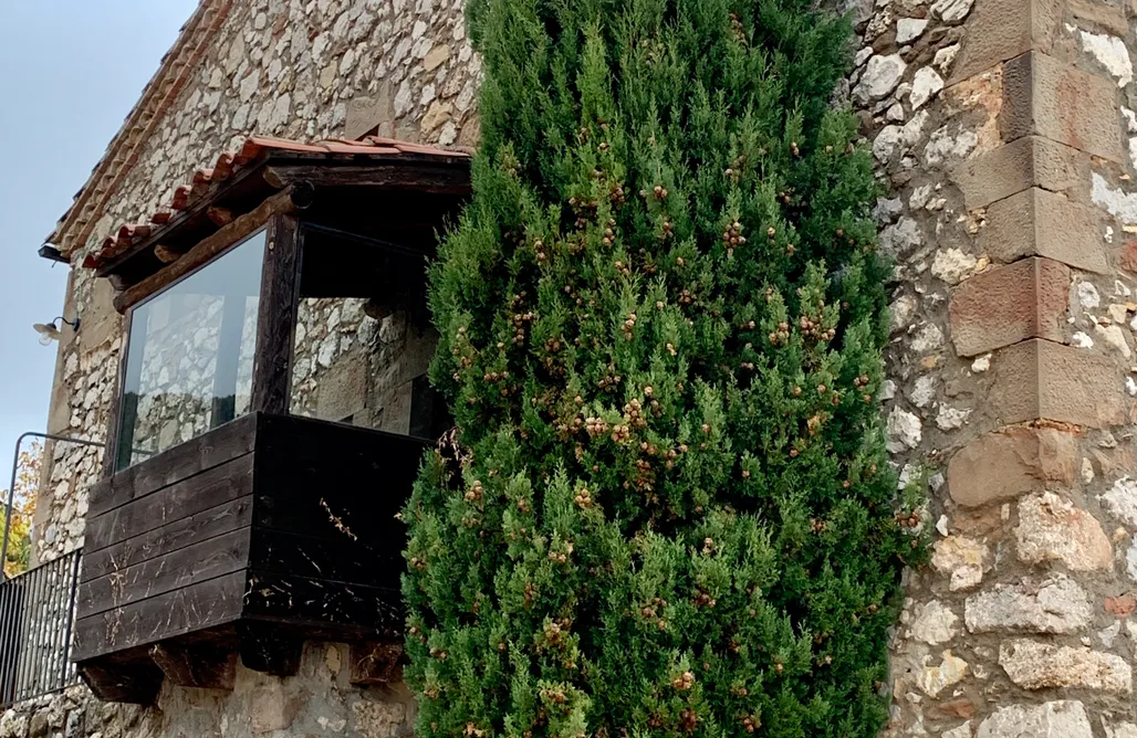 noclegi AlohaCamp Masía Cal Masover 5