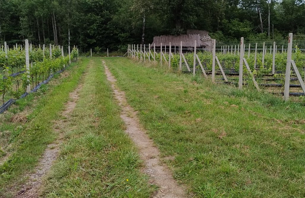 AlohaCamp Agro-kemping dla namiotów 1