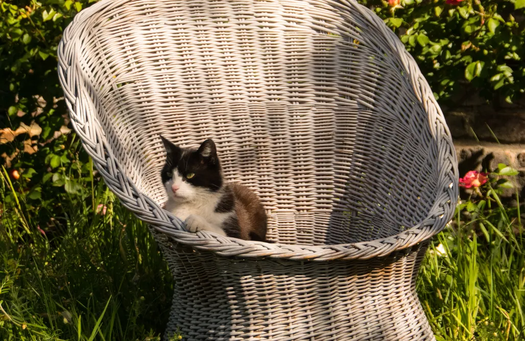 Alloggio AlohaCamp Olęderska Zagroda Pracownia Boruja 5