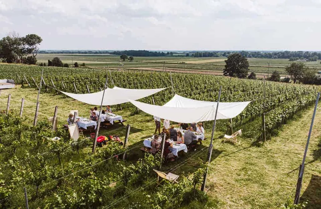 noclegi AlohaCamp Miejsce kamperowe - Winnica Wzgórz Trzebnickich 2