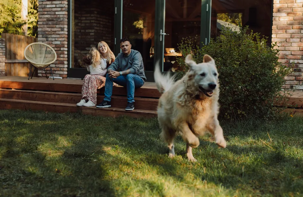 noclegi AlohaCamp UkryjSię - dom nad jeziorem Budzisławskim 4