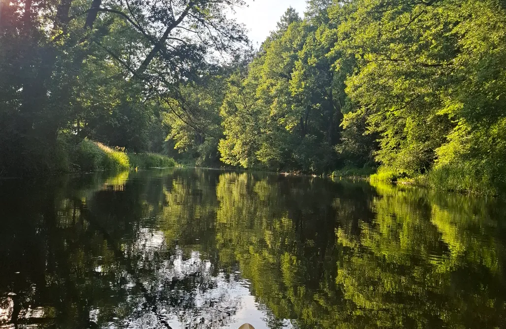 noclegi AlohaCamp Domek Paproć 1