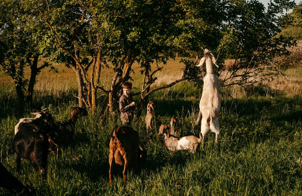 Agroturystyka Dolnośląskie ze zwierzętami Gorzelnia Gwieździn Agroturystyka Apartament 1