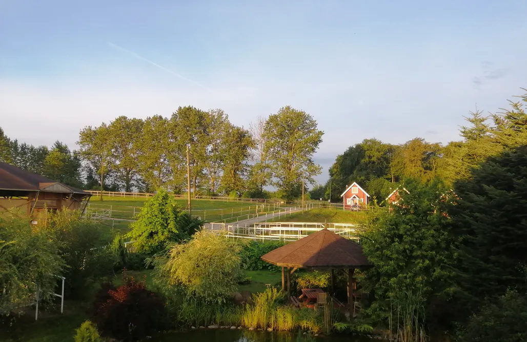 noclegi AlohaCamp Dom skandynawski na terenie Stadniny koni 4