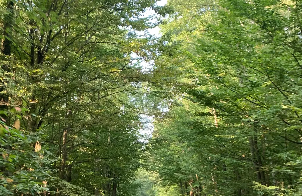 hebergement AlohaCamp Domek Wśród Pól z Jacuzzi 1