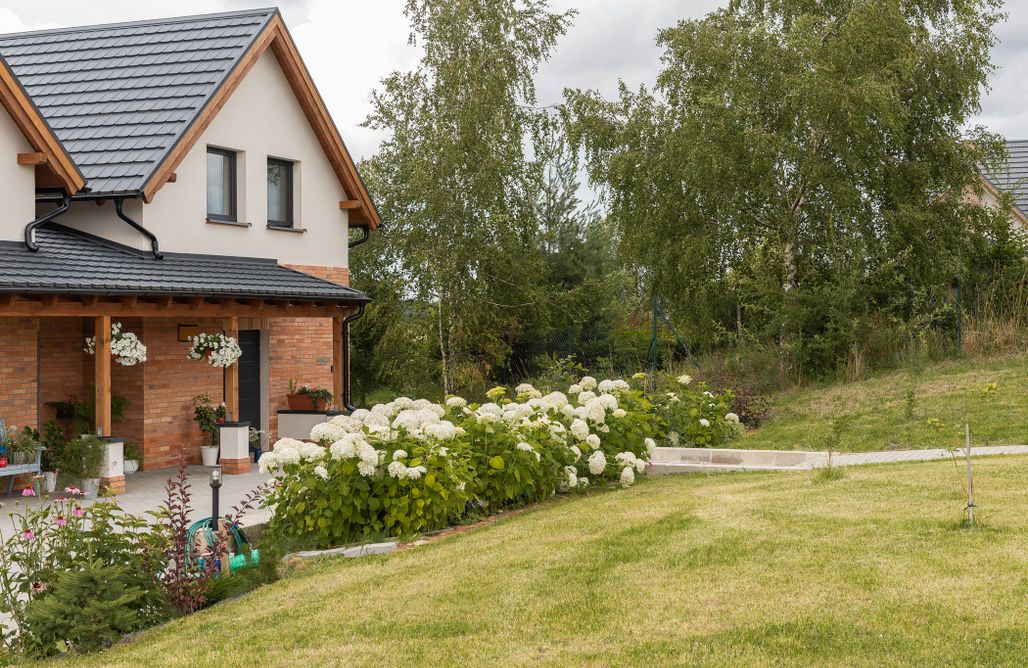 AlohaCamp Dom Łąka 1