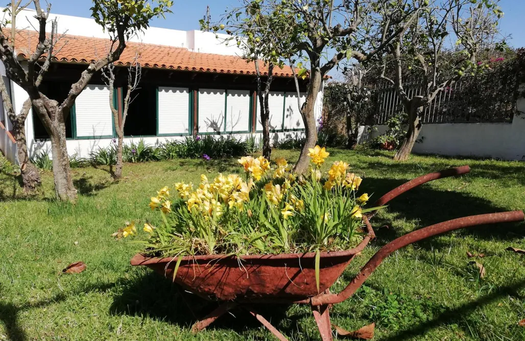 Cabañitas del Bosque Casa Rural Limón Y Sol 2