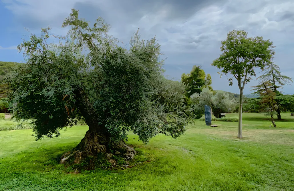 alojamientos AlohaCamp Mas Antoniet 1