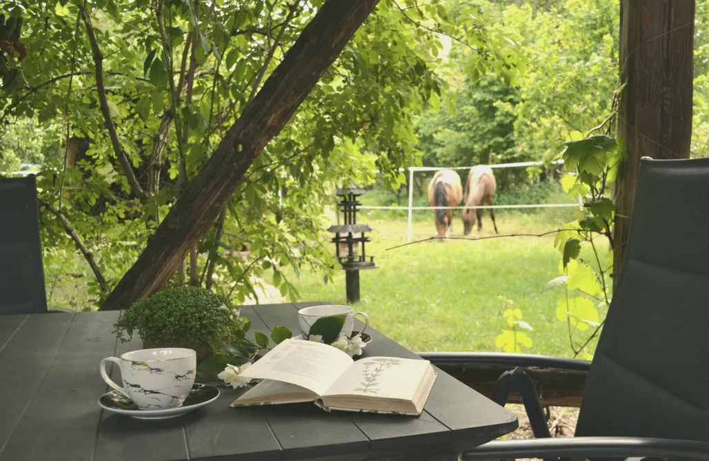 Alloggi AlohaCamp Siedlisko Ikigai 4