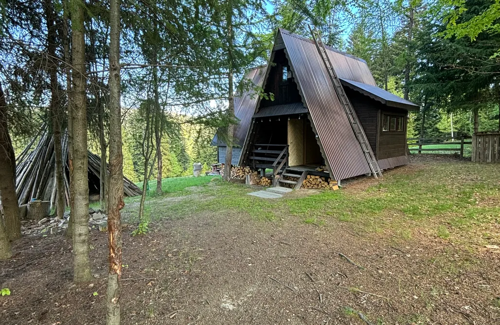 Tiny House Forest Cottage on Strings 2