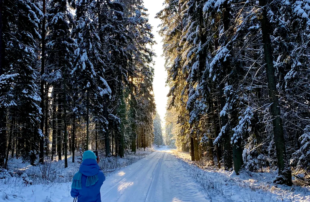 AlohaCamp accommodation Marycha House 1