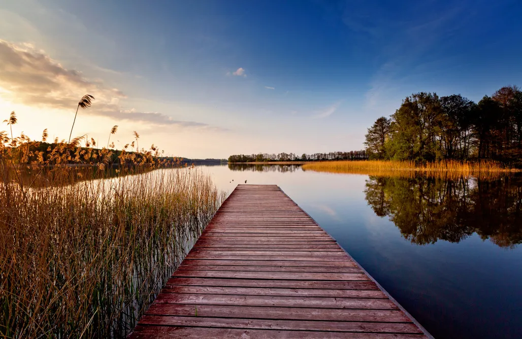 noclegi AlohaCamp Winiec Family Houses 5