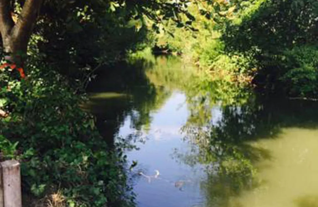 Unterkunft AlohaCamp Ilmhaus I 1