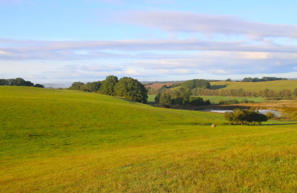 noclegi AlohaCamp Tiny House am Stiel 5