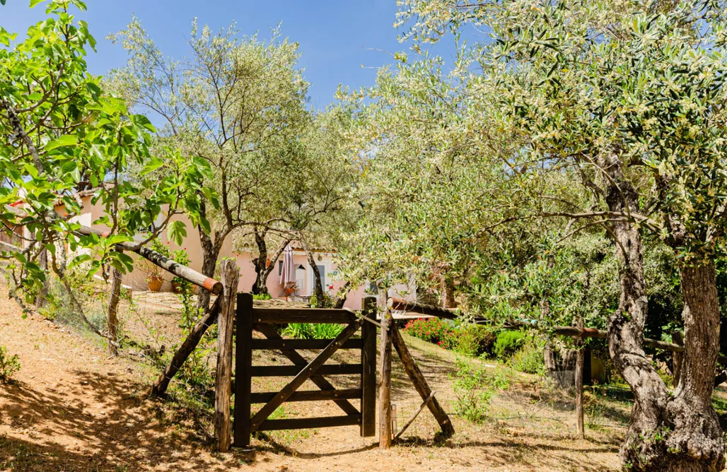 Casita Del Cerro AlohaCamp