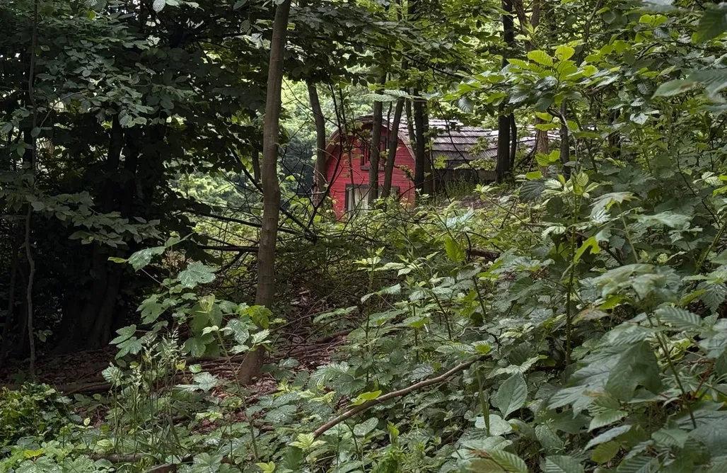 Gródek Nad Dunajcem Noclegi Bajkowy domek w górach bez sąsiadów 1