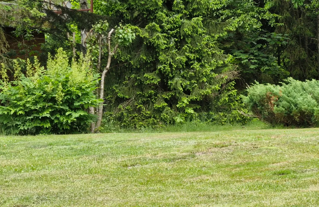 Tanie Noclegi nad Morzem Blisko Plaży Domek na Kaszubach nad jeziorem 1