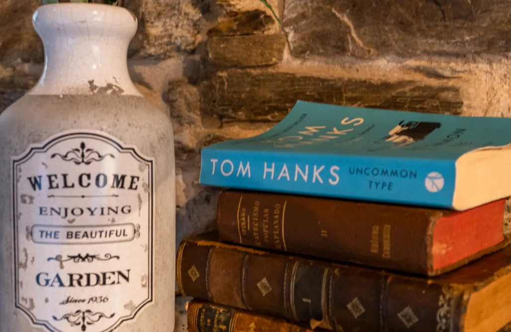 AlohaCamp El Valle 1