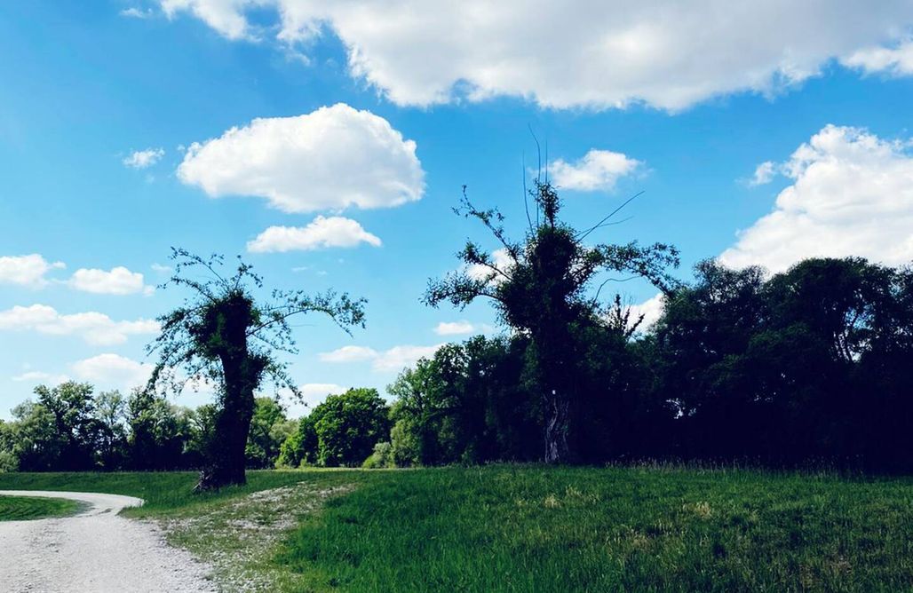 Unterkunft AlohaCamp Bauernhaus am Limes 5