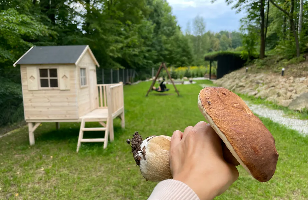 alojamientos AlohaCamp Przeszklony Domek w Marczycach  1