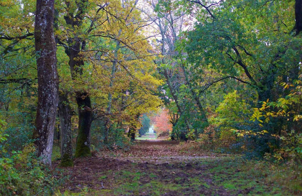 alojamientos AlohaCamp Domaine forestier Darricau au bord du lac, 12 min de l'océan 4