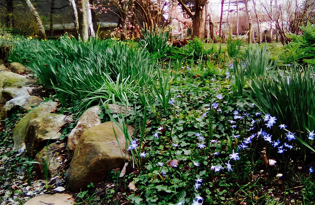 Alloggio AlohaCamp Beltblick 4