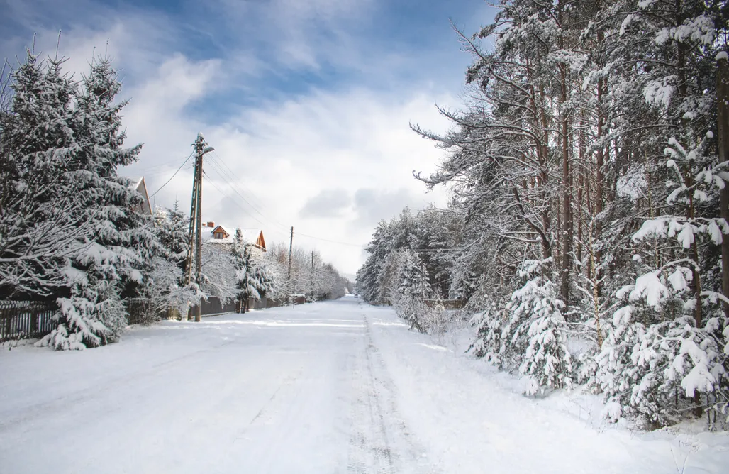 AlohaCamp Jarzębinowa - drewniany dom do wynajęcia na Podlasiu 1