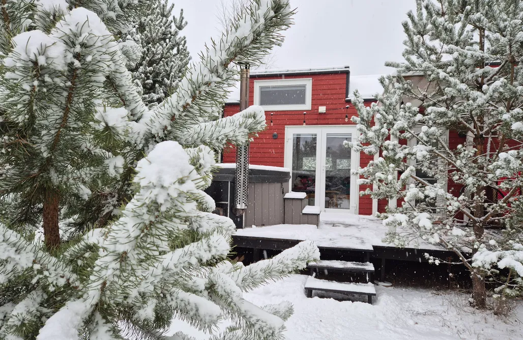 Gdzie Nad Jezioro Tajnikowo Wasabi 3