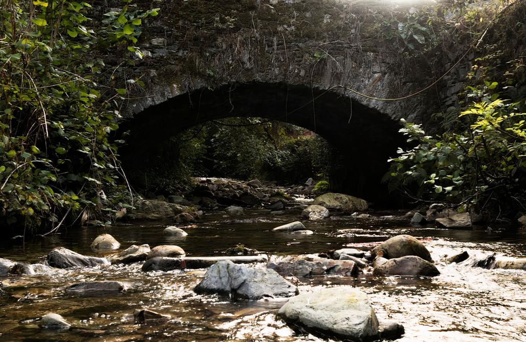 AlohaCamp Habitación tripe 1