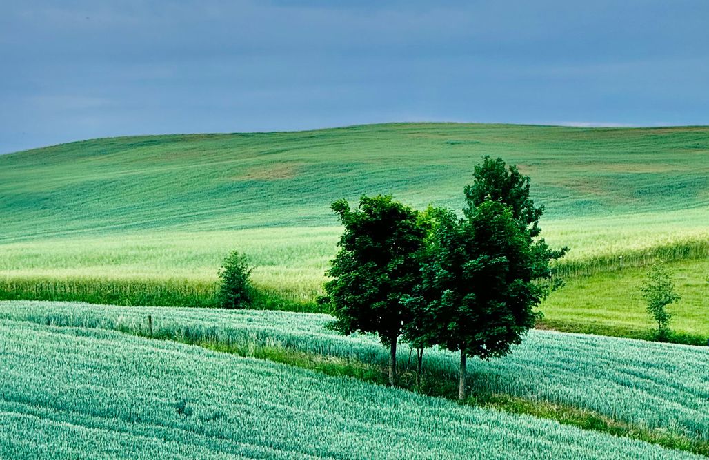 AlohaCamp Błękitny Obłok (z prywatnym tarasem) 1