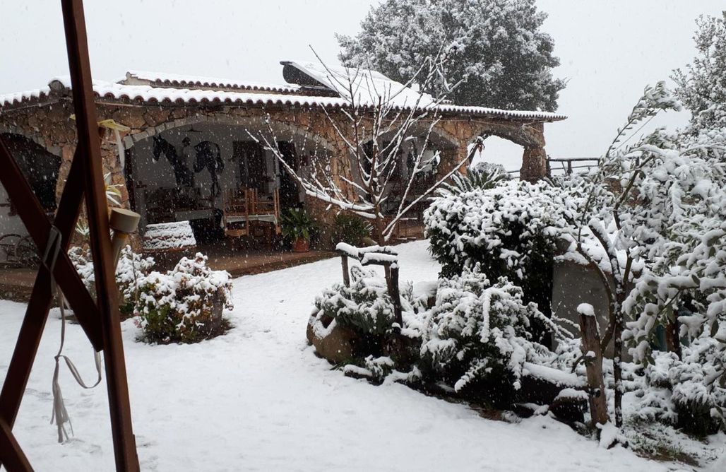 Alloggio AlohaCamp Affittcamere Jannas 1