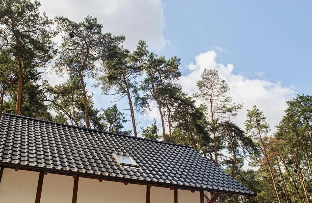 AlohaCamp accommodation Całoroczny domek w sosnowym lesie 5