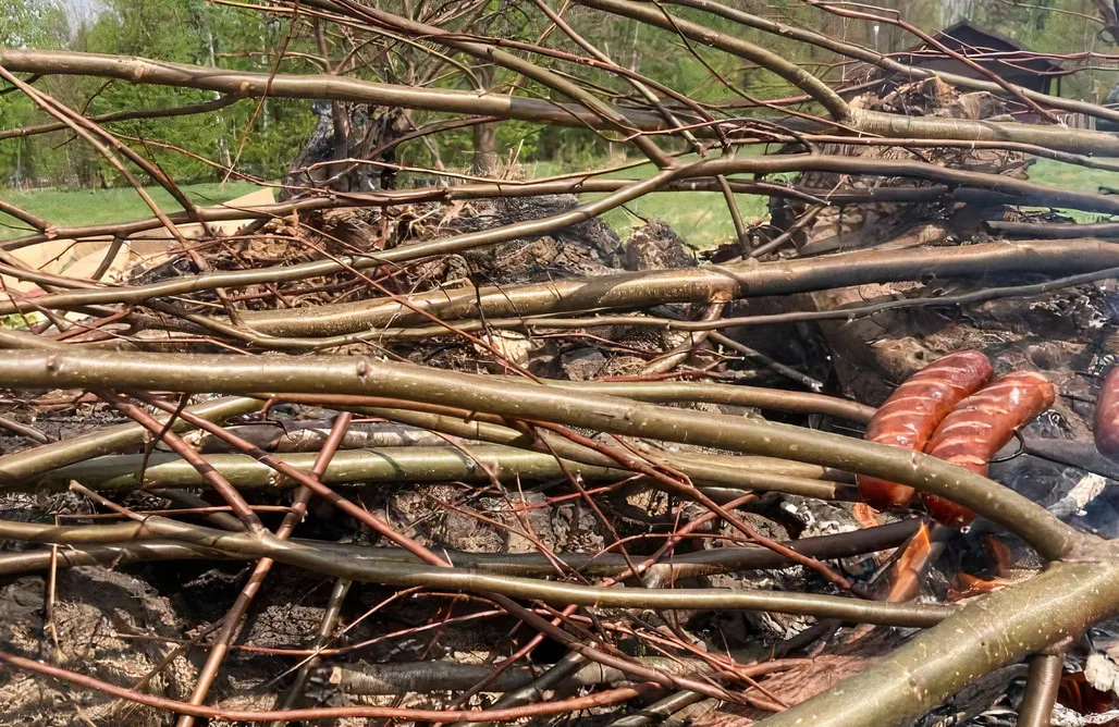 Mirsk Noclegi Betula Izerska 1