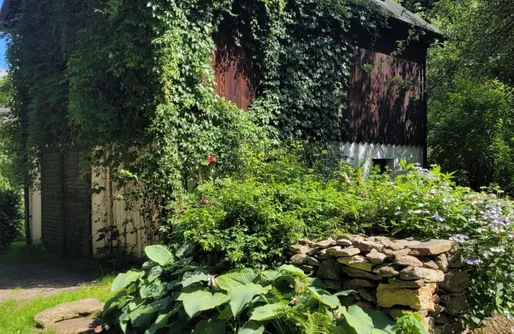 Zdjęcie obiektu Jemna 55