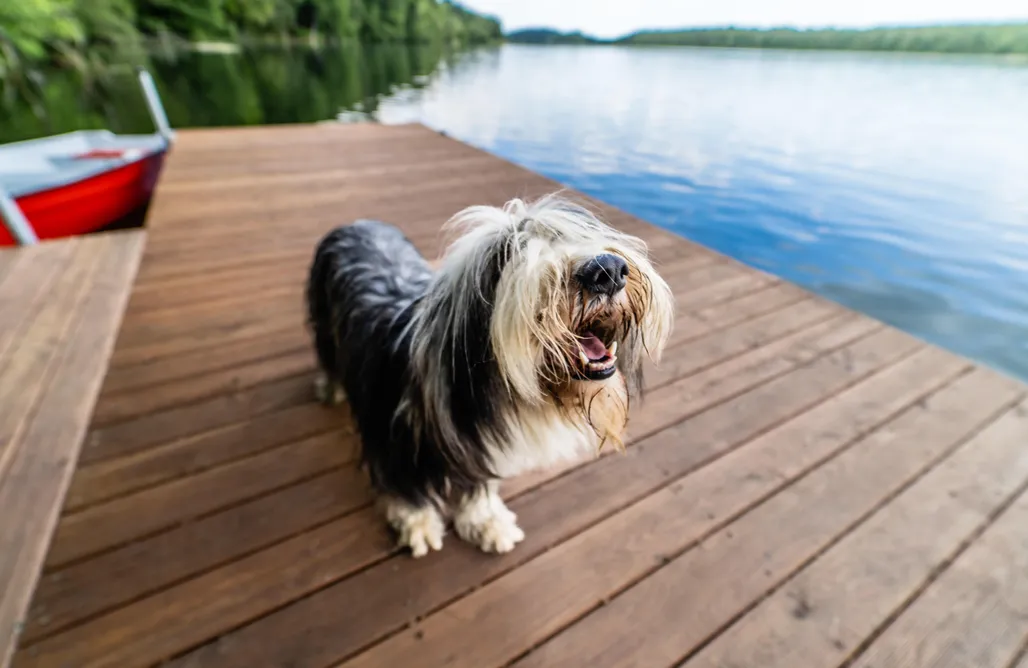 noclegi AlohaCamp Gulbity Camp 1