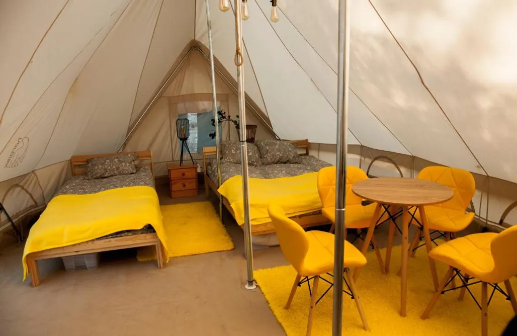 Trzebinia Domki AlpakiJa Glamping z alpakami 3