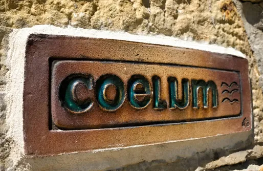 Imagen de Vacas con Encanto / Terra y Coelum