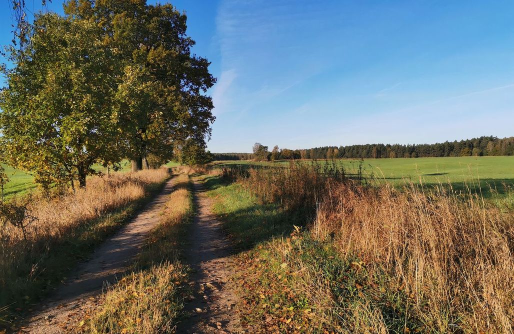 Świerkocin Domki Dom z jacuzzi nad jeziorem - Jadamowo 15 3