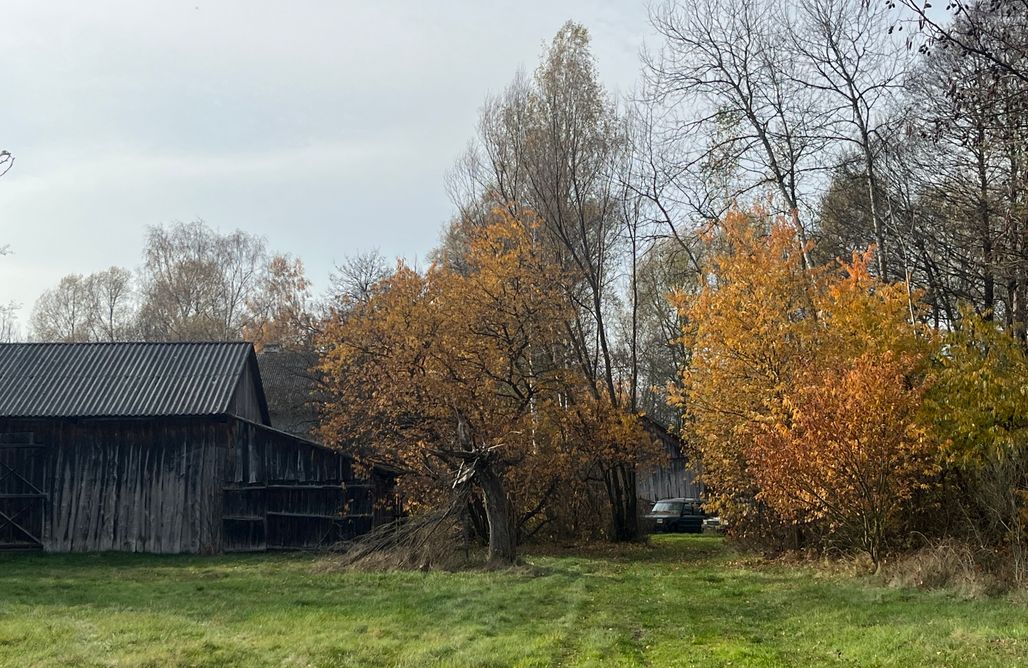 noclegi AlohaCamp Miejsce kamperowe i namiotowe - The Farm Wild Camping 1