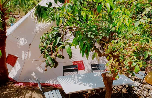 Imagen de BIO Glamping Gran Tipi eco tropical