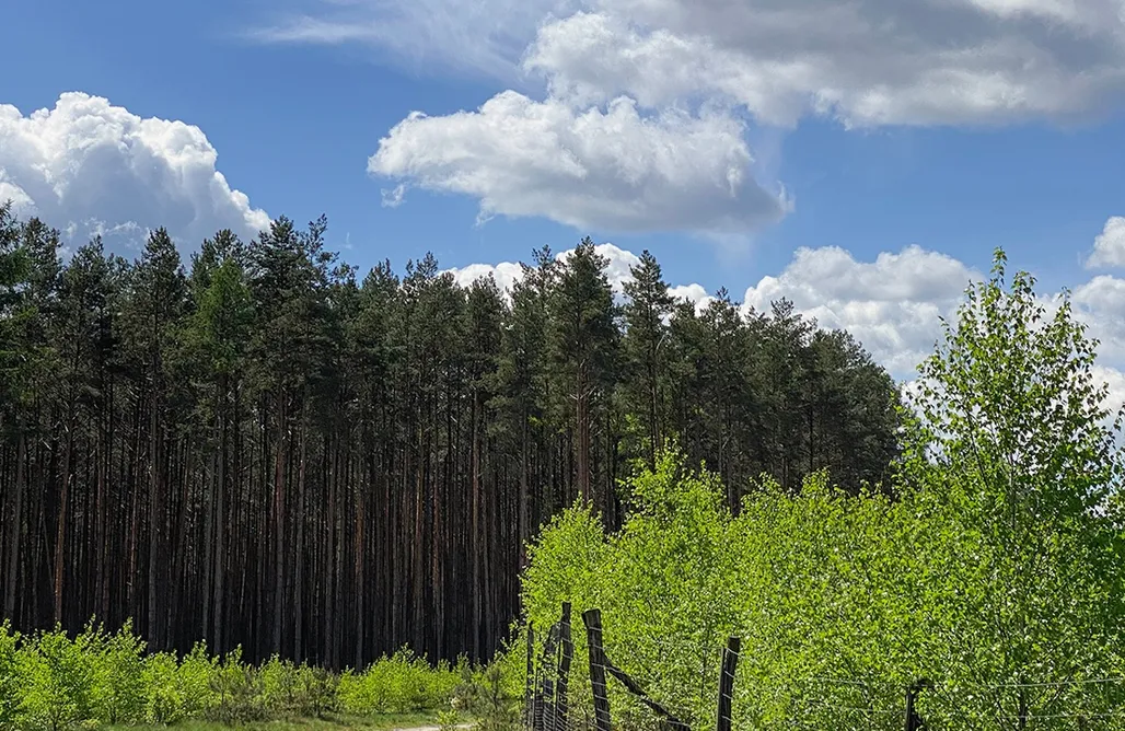 Alloggi AlohaCamp Arche Siedlisko Ujny 1
