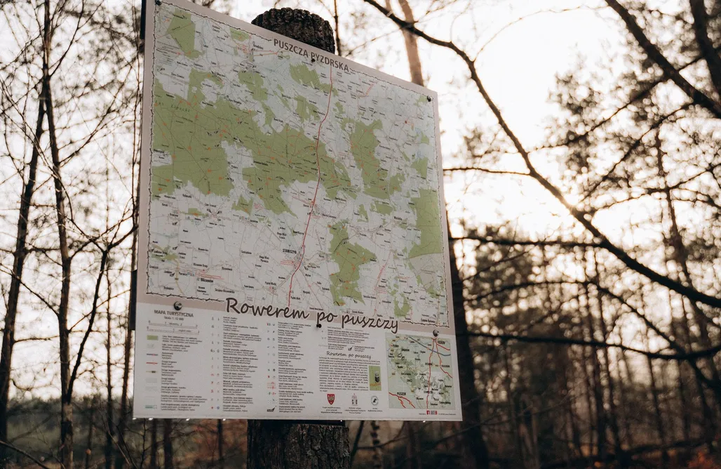 AlohaCamp Ginkgo w lesie 1