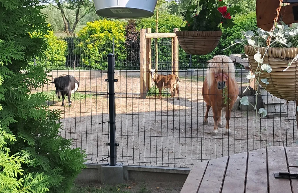 Sielpia Domki Domek przy stodole 1