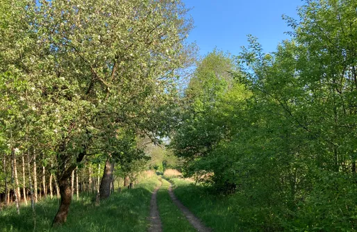 Zdjęcie obiektu W Zielonym Spichlerzu