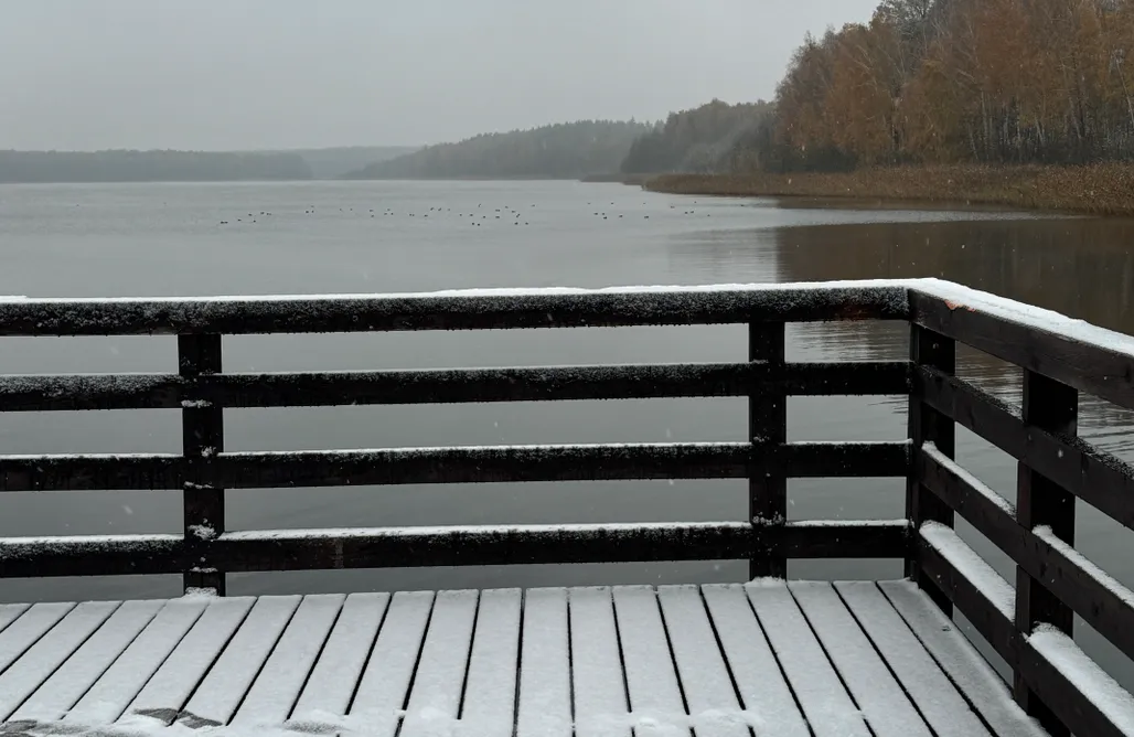 Alloggi AlohaCamp Kamionki - domek nad jeziorem  1