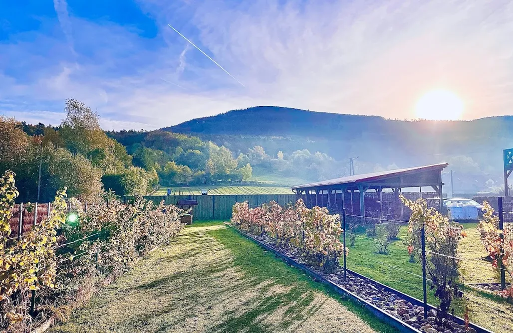 AlohaCamp Domek Daisy 1